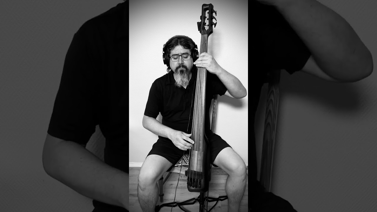 Un Día de Julio - Palisandro - Ibanez UB805 Upright Bass