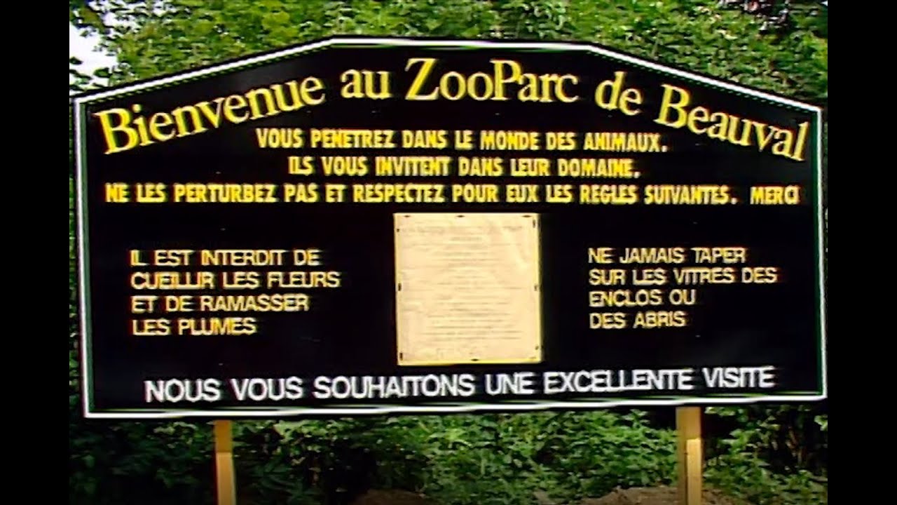 40 ans d'histoires - Ep 4 : le parc ornithologique se transforme en zoo !