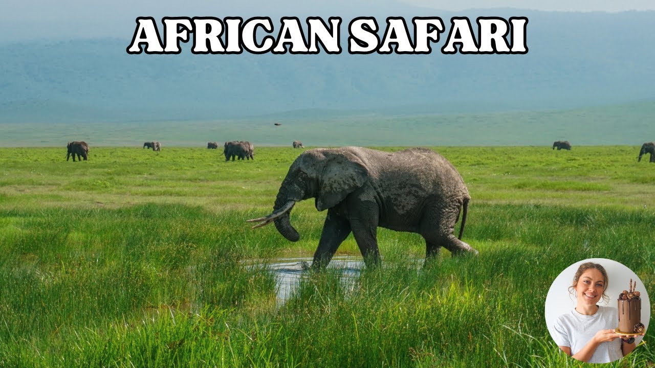 Let's go on a Safari in Tanzania! Highlights from our incredible experience ♡