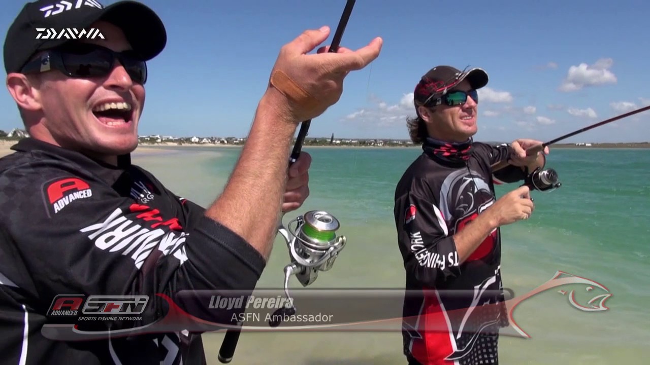 Smooth Hound Sharks on Light Tackle in the Krom River Eastern Cape | ASFN Estuary