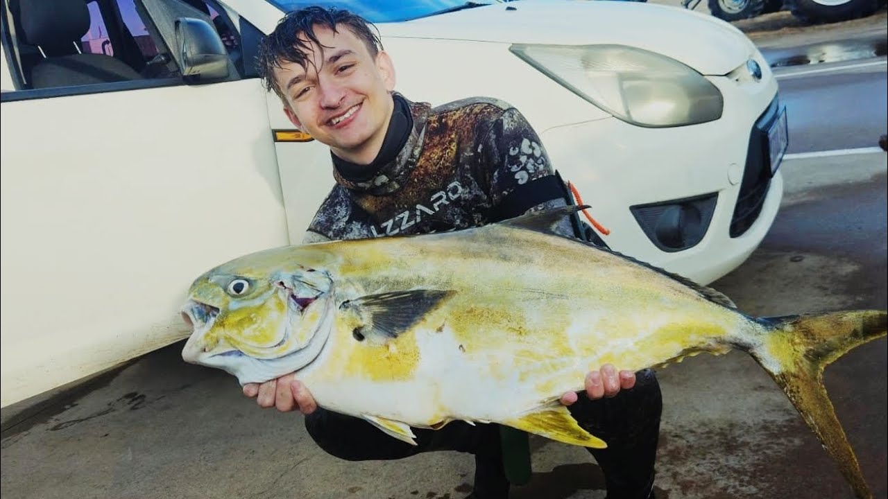 Bear KZN sea conditions report Sailfish Pompano Snoek