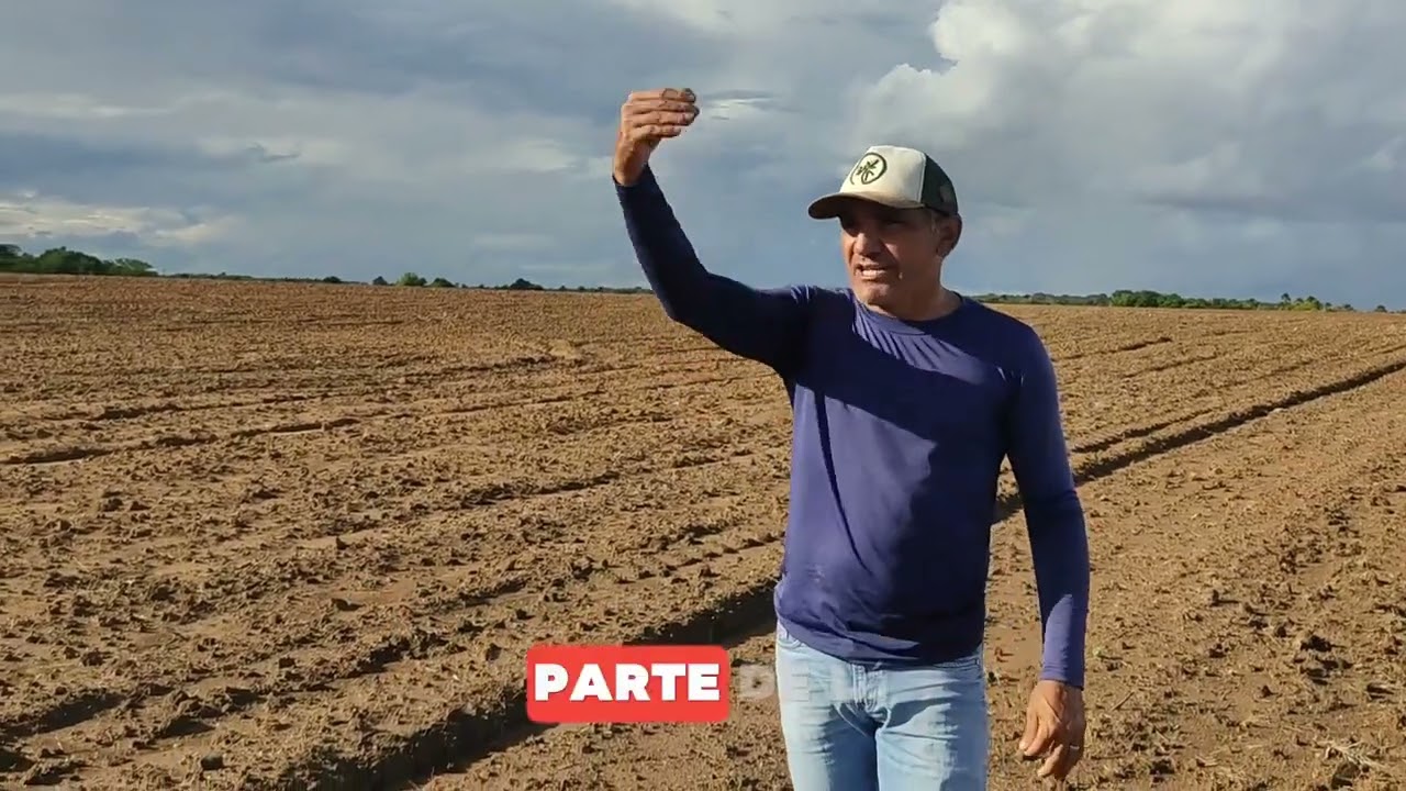 FAZENDA DE 1300 HECTARES EM RORAIMA NA REGIÃO DO ALTO ALEGRE RR DUPLA APTIDÃO