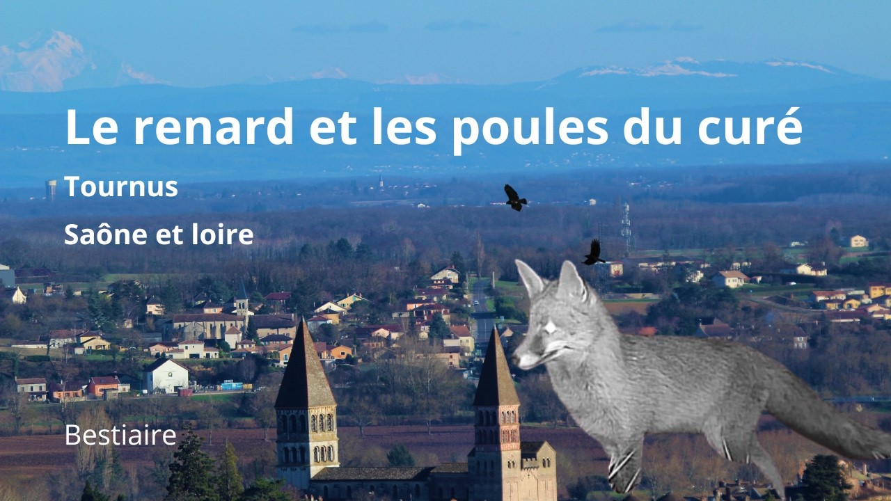 Le renard et les poules du curé