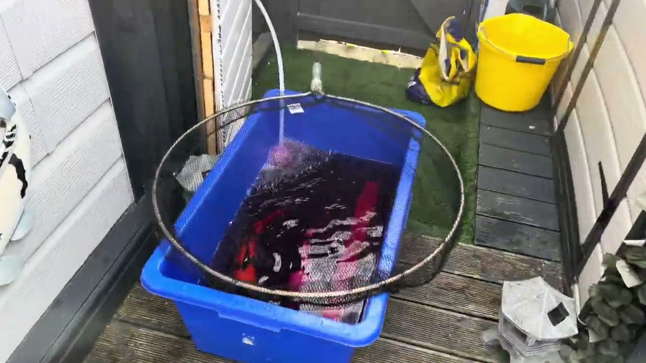 New koi day episode 55