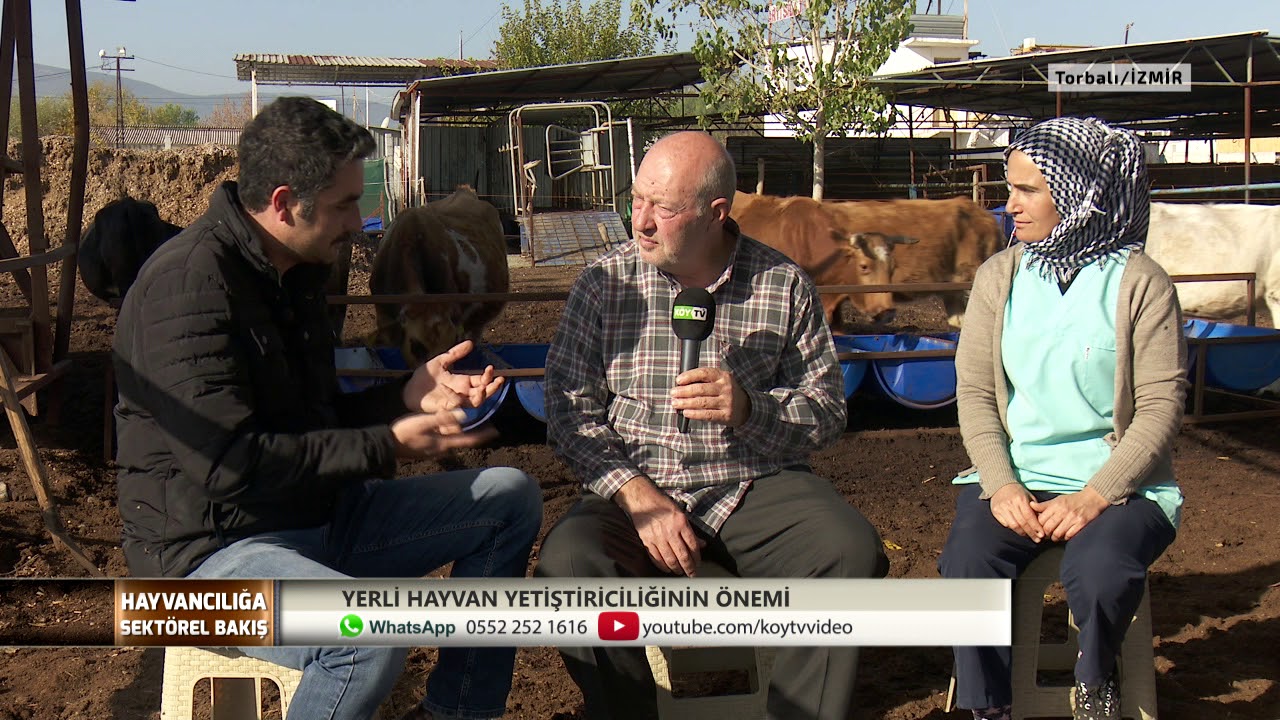 HAYVANCILIĞA SEKT&Ouml;REL BAKIŞ | YERLİ HAYVAN YETİŞTİRİCİLİĞİNİN  &Ouml;NEMİ - 2.B&Ouml;L&Uuml;M