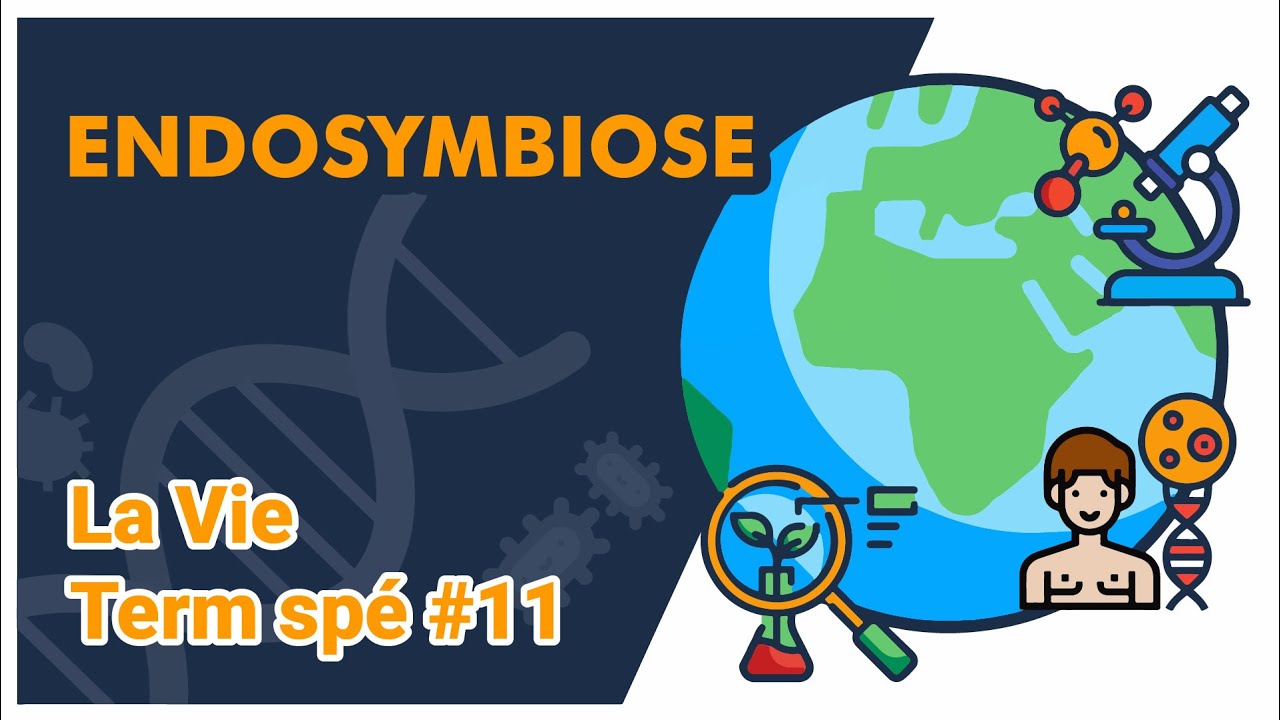 Endosymbiose-SVT - LA VIE Term spé #11 - Mathrix