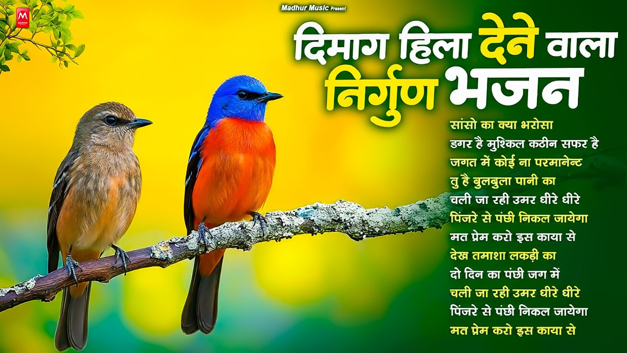 दिमाग हिला देने वाला निर्गुण भजन | Nonstop Nirgun Geet | Chetawani Bhajan 2026 | Nirgun Bhajan 2026