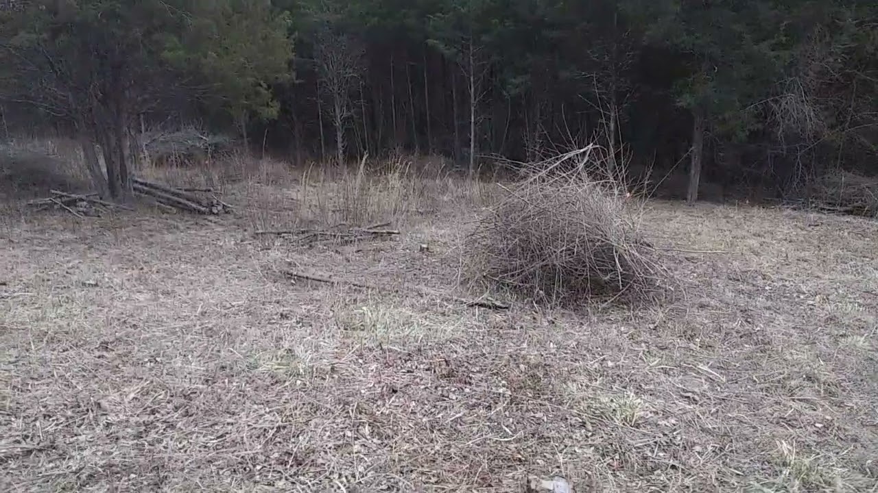 2026 02 24 The Northeast Pasture Section 7 - Day 2