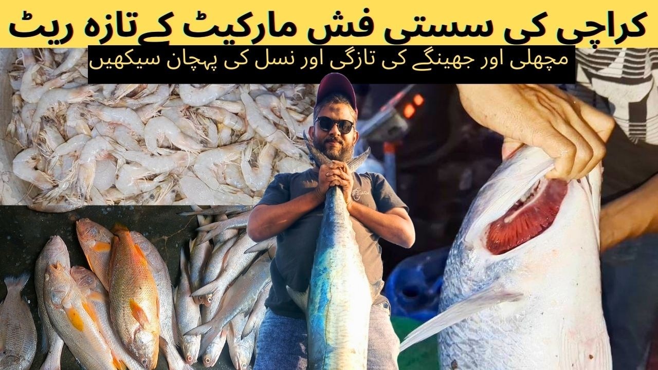 Karachi Ki Sasti Fish Market | Korangi 100 QTR Fish Market | Karachi Fishery 2026