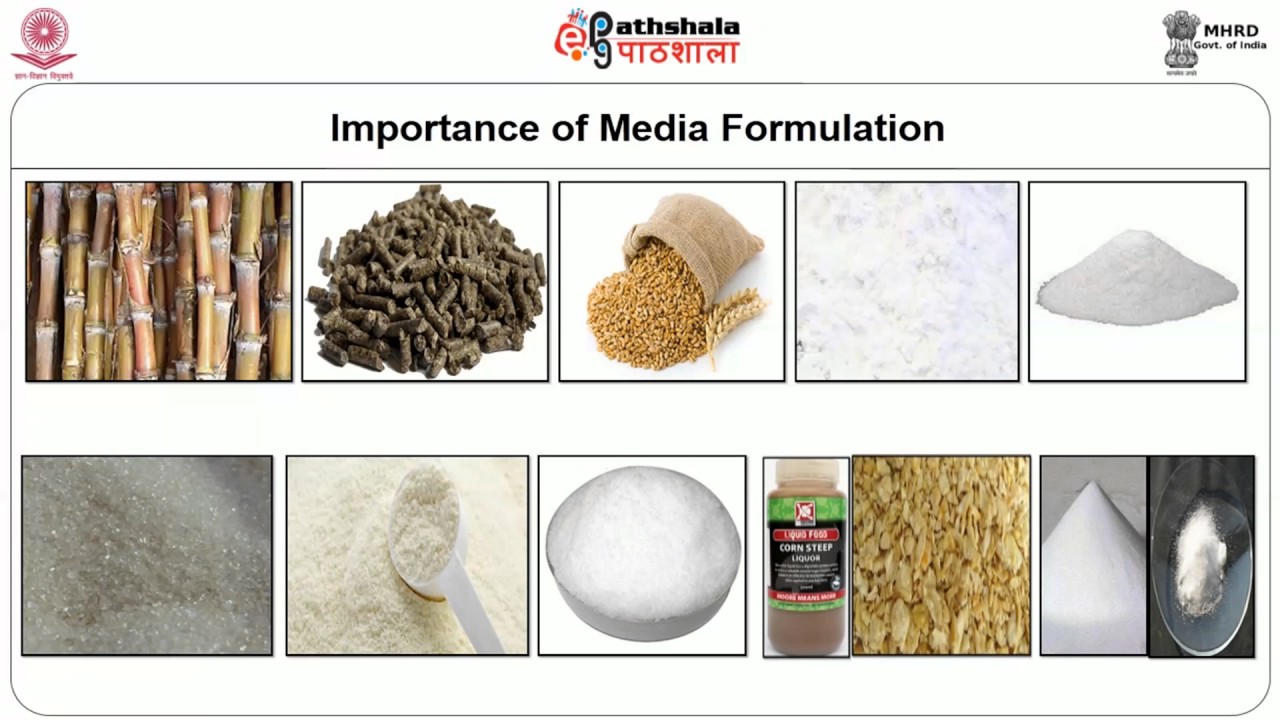 Bioreactors   medium, composition, microorganisms used in food industry