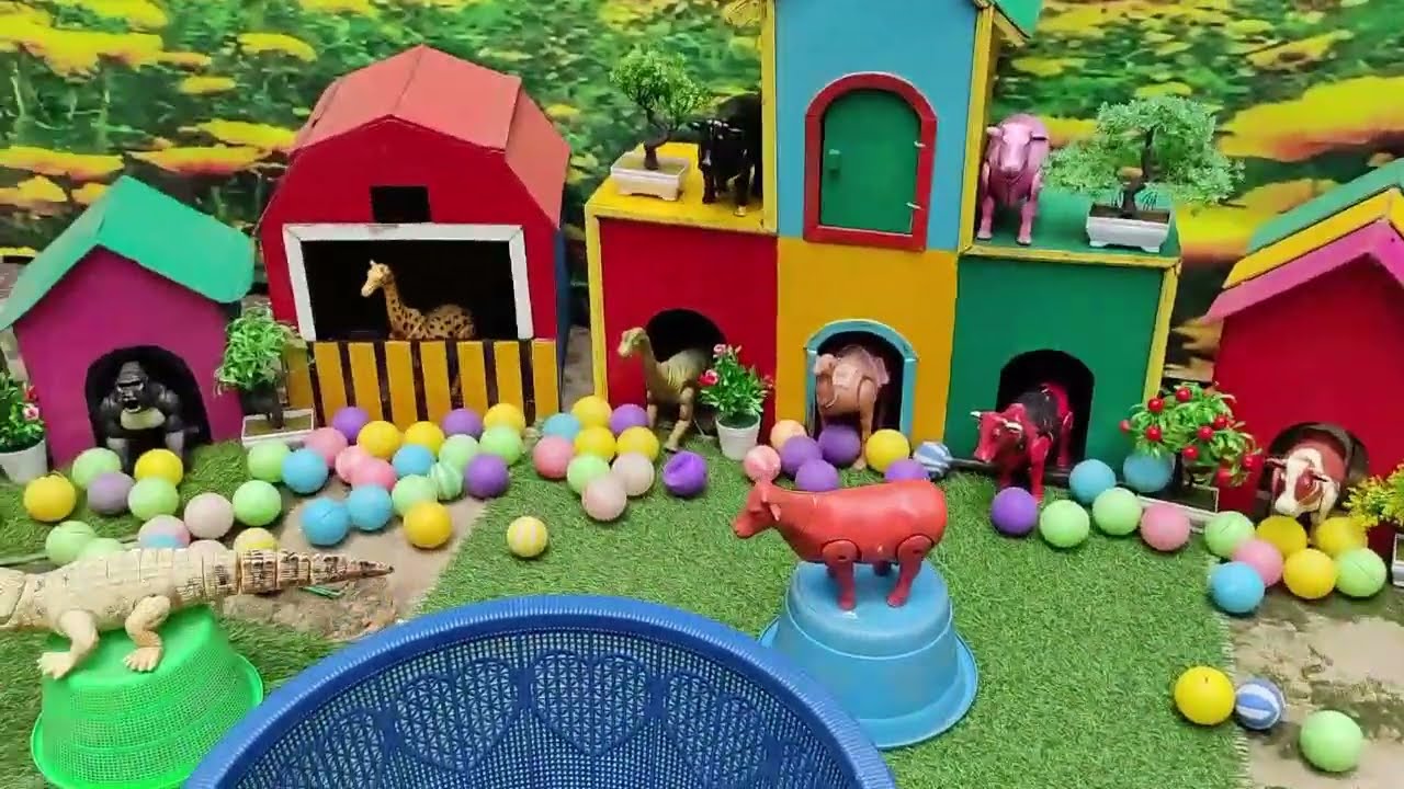 Ayam rainbow ,sapi warna warni ,ayam warna warni lucu di peternakan