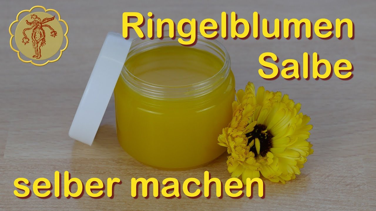 Ringelblumen Salbe selber machen (Calendula-Salbe)