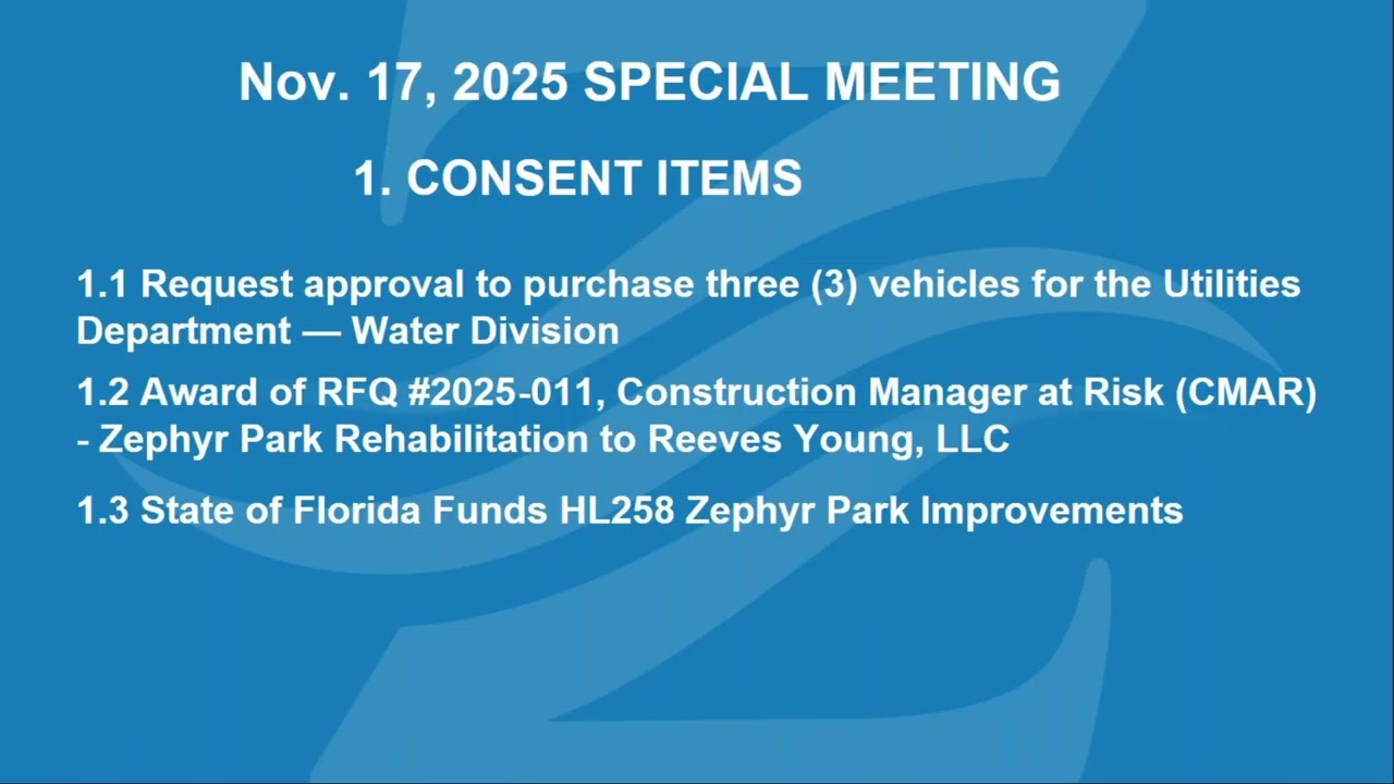 Special City Council Meeting & Visioning Workshop (11-17-2025)