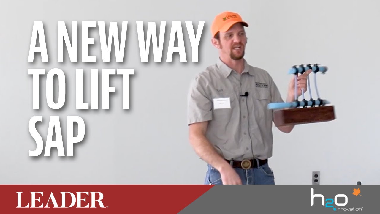Lifting Sap with Nick Wendel