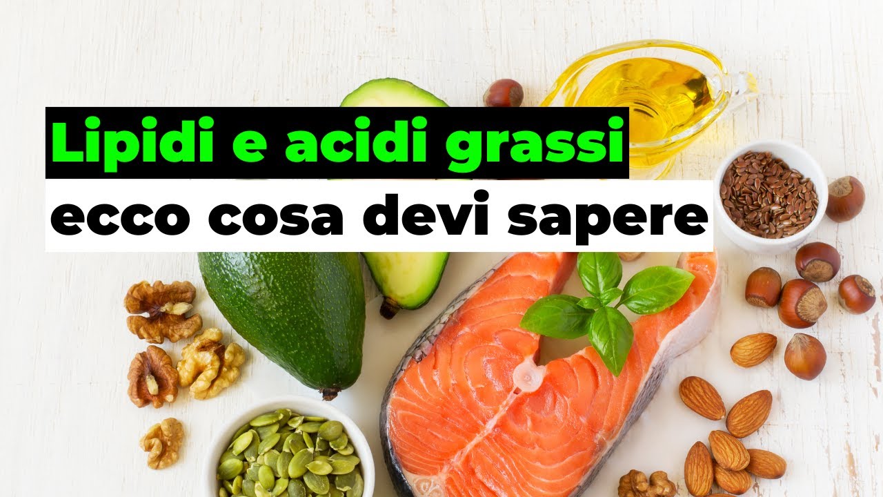 Cosa sono i lipidi? La biochimica dei grassi (in breve)