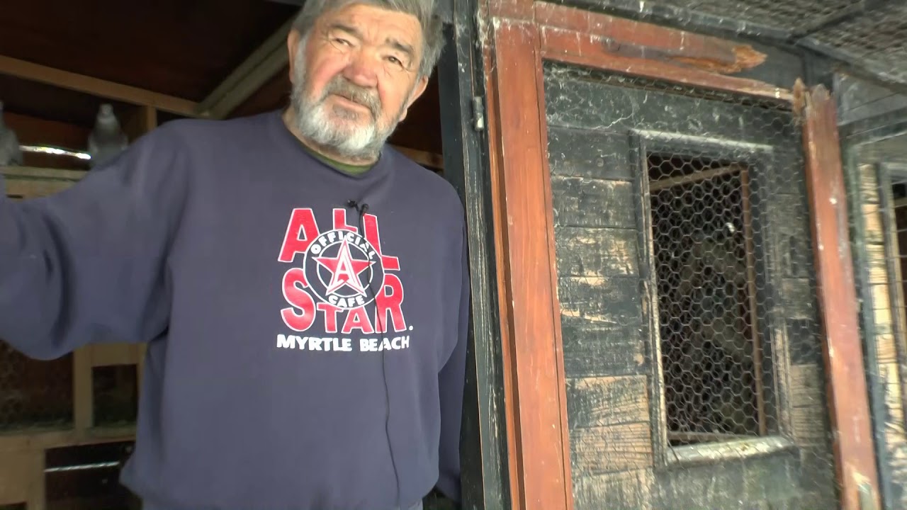 GOLUBARI SRBIJE MILOMIR MARINKOVIC 2018