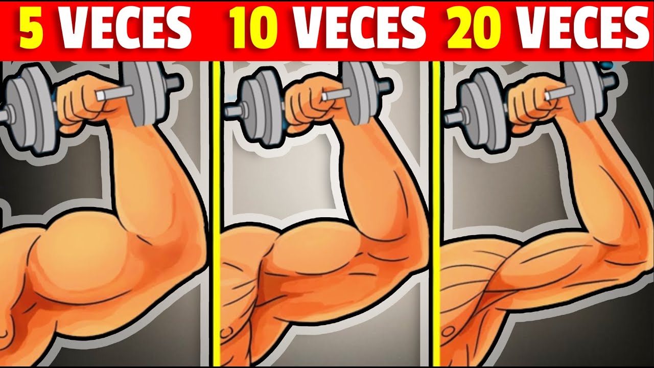 ✅ &iquest;Cu&aacute;ntas REPETICIONES Son Mejores para Desarrollar M&uacute;sculo? | EJERCICIOS PARA HIPERTROFIA