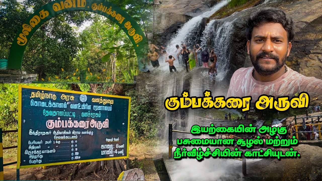 கும்பக்கரை அருவி: தேனி மாவட்டத்தின் மறைக்கப்பட்ட இயற்கை அழகு /Kumbakaraifalls🤩 #theni #tourist #vlog