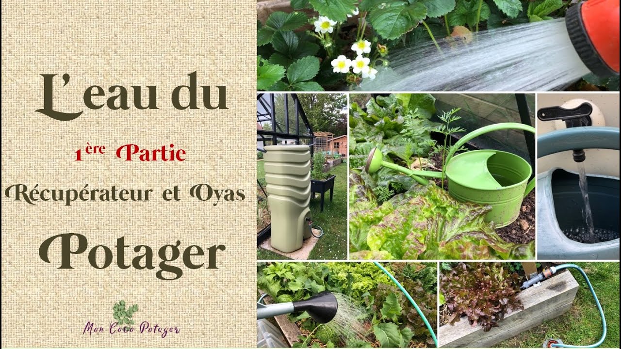 L'eau du potager  - 1ere partie :  R&eacute;cup&eacute;rateurs et Oyas