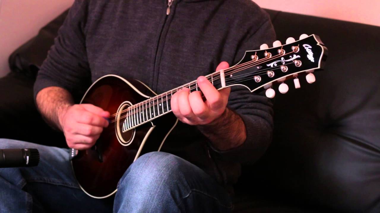 Irish mandolin lessons. The Longford Collector (reel)