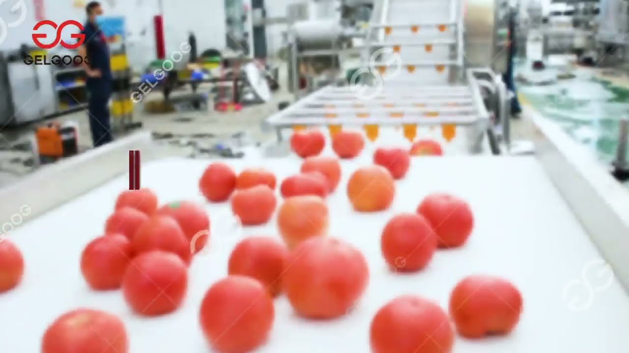 300kgh Automatic Tomato Paste Processing Line