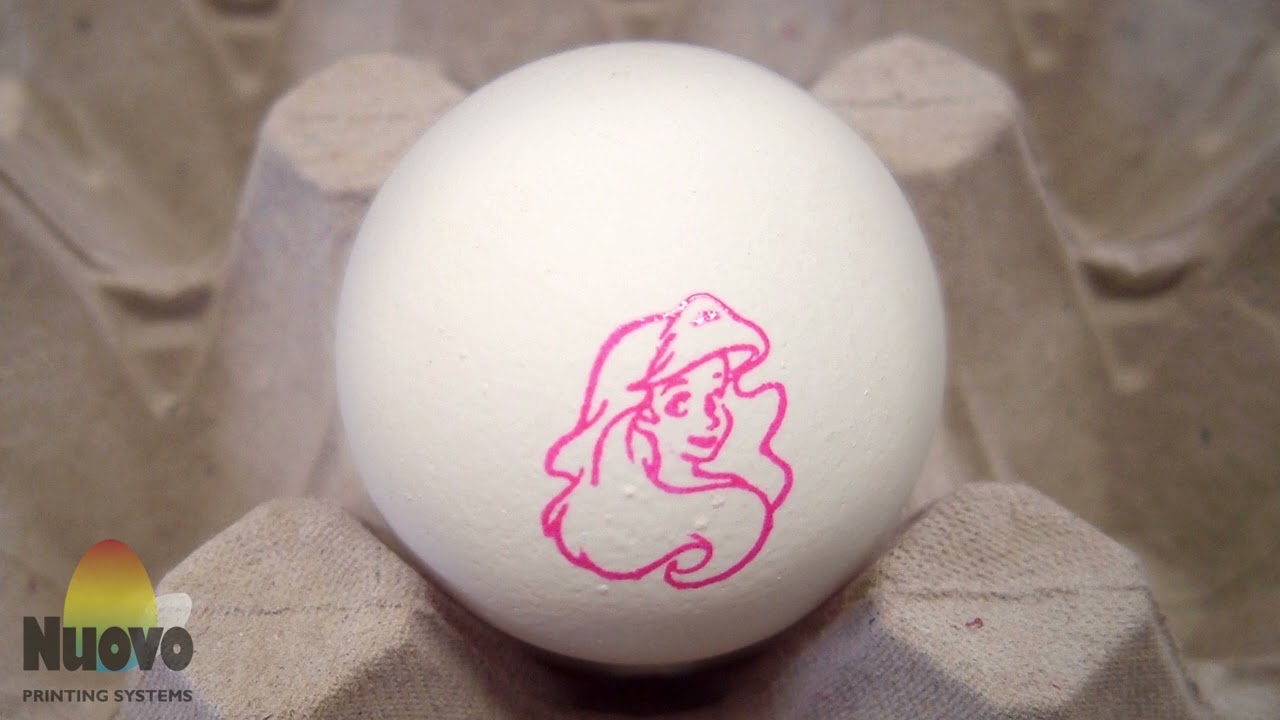 Nuovo Egg Stamper - Easy Print R6 Moba Omnia 500