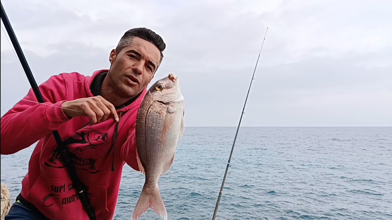 PESCA SURFCASTING EN LOS ACANTILADOS DE CALAHONDA JORNADA EXPRÉS PERO TOCANDO ESCAMAS 