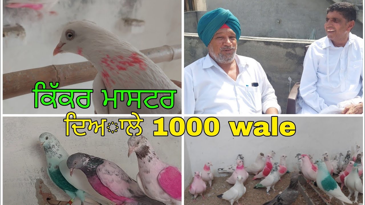 Ustad Sukhdev Smalsar G da shonk..Part 2..