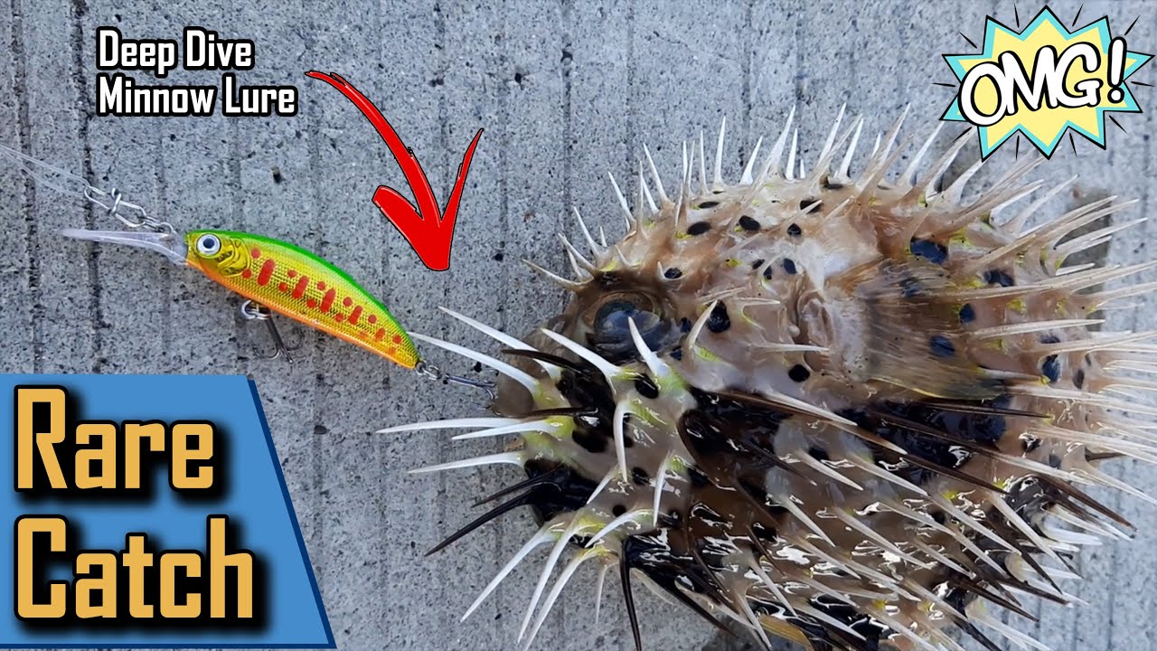 Deep Dive Minnow Unexpected Strike | Artemis Ultralight | Spot Tour | Pier Fishing Philippines 2020