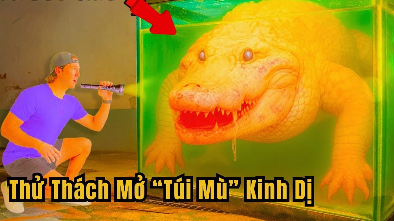 Thử Thách Mở Túi Mù Triệu Đô Chứa Đầy Quái Thú Kinh Dị Và Cái Kết || Bún Phở REVIEW