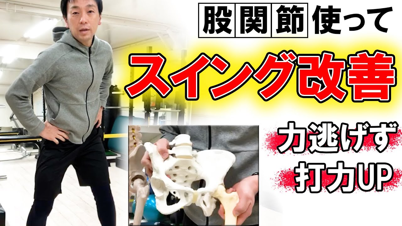 【解説！股関節での骨盤の動き】野球、ゴルフ必見！