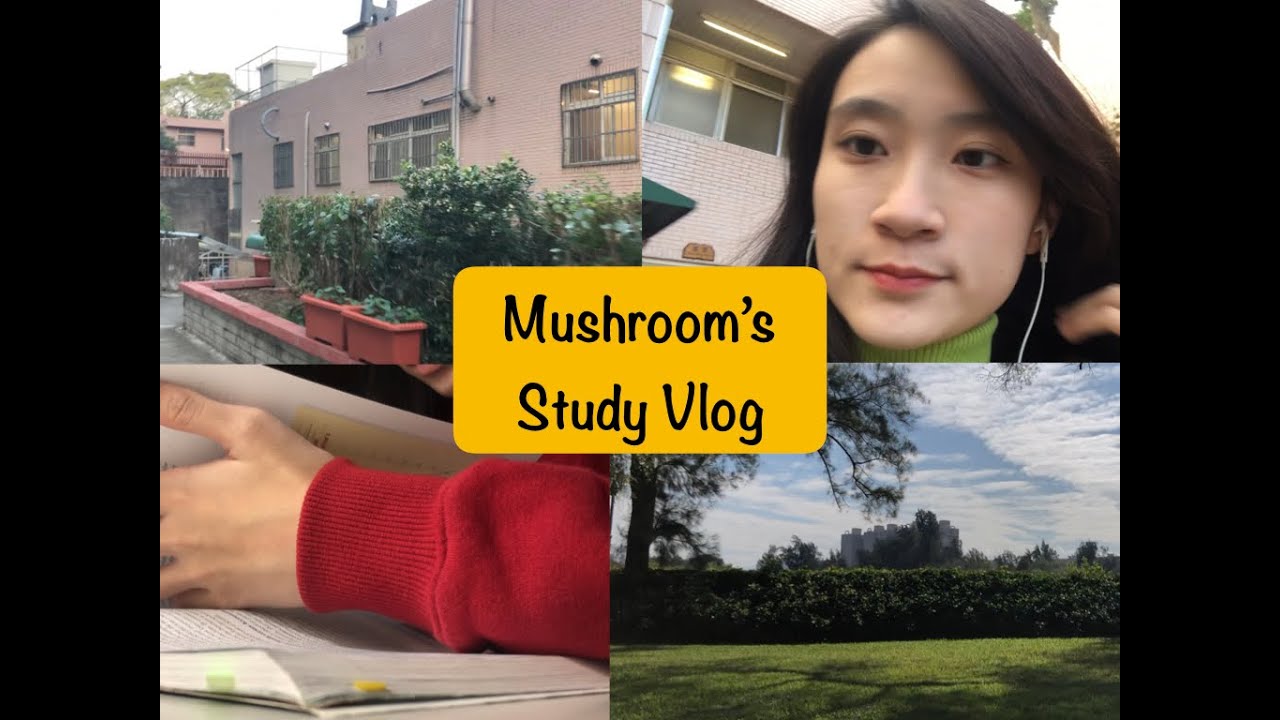 清華Study Vlog#2 | 熬夜爆肝的期末週🔪給自己下學期的期許🌻| MushroomWang🍄