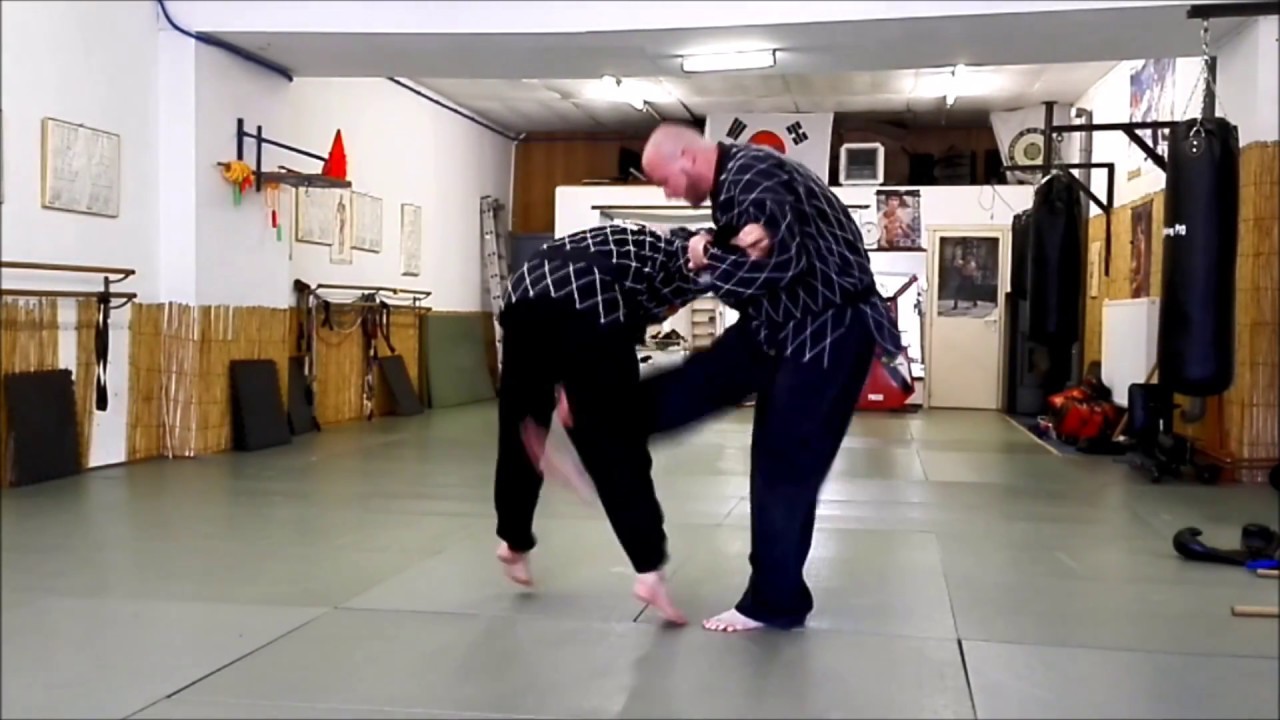 Hoshin Moosool Hensies 2005 - 2016 - Lee Kwan Young Self Defense martial art - Hapkido Taekwondo
