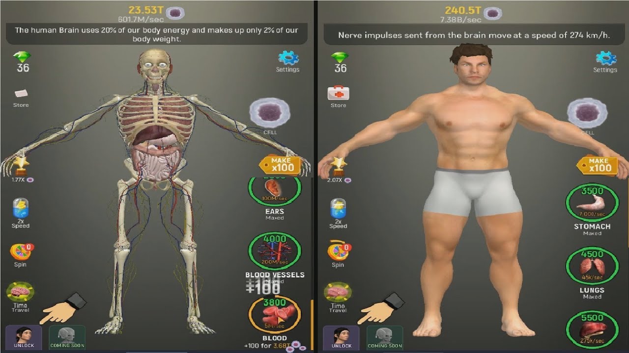 Idle Human - Max Level [All Evolutions]