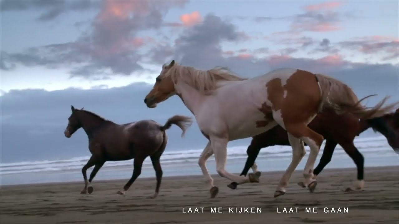 Mag ik even naar het strand ( groep 7/8 )