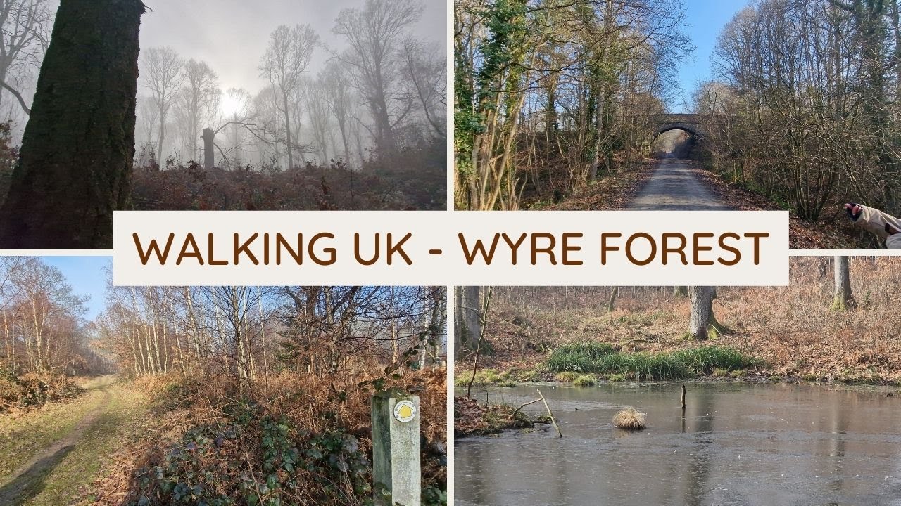 Walking the Wyre Forest