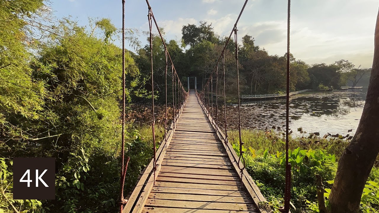 Myanmar Unbelievable 4K Nature Wonderland: Take a Virtual Trip to Hlawga National Park!