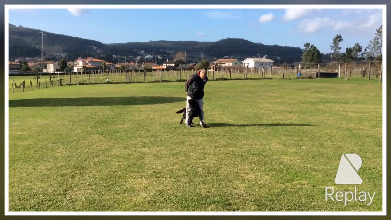 Centro Canino de Santa Comba - José Campos com Bolota, Quinta das Tílias part.III