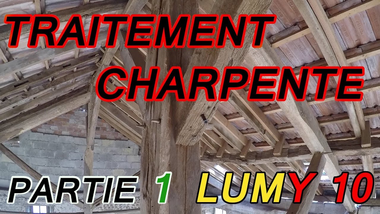 TRAITER  UNE CHARPENTE ATTAQUEE PAR LES INSECTES ? Partie 1/3 LUMY 10