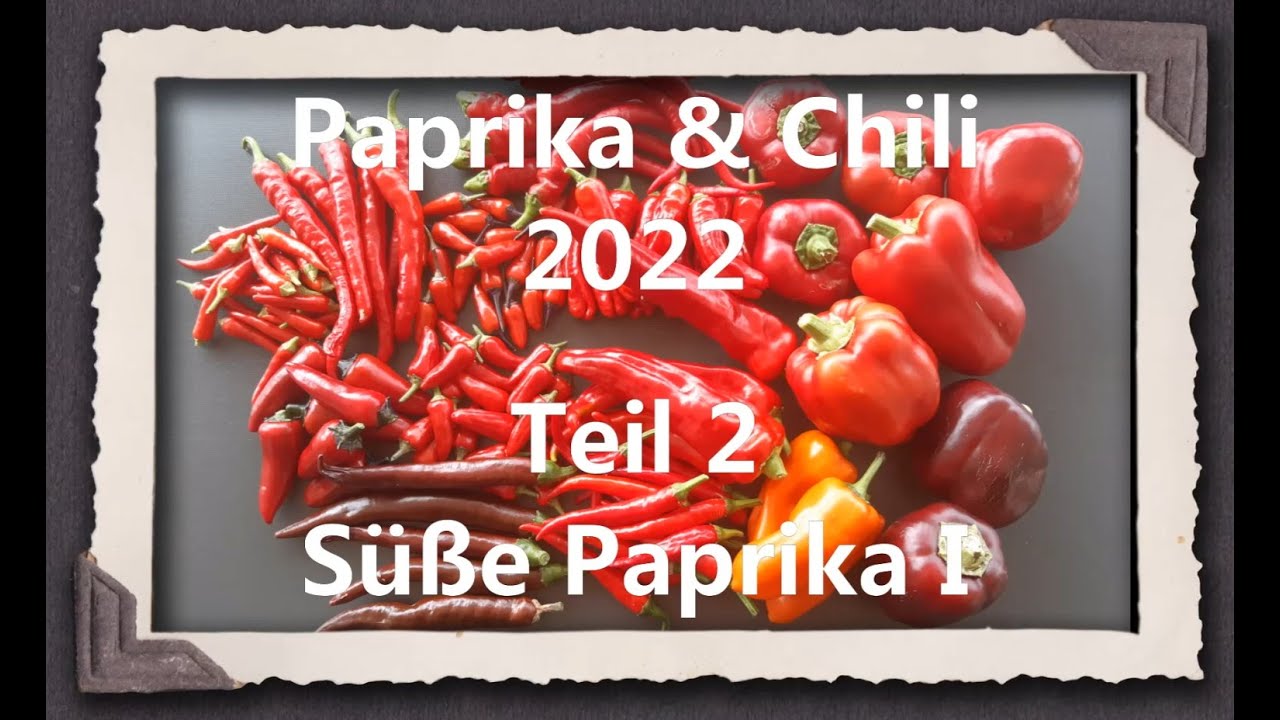 Paprika & Chili 2022 Teil 2 - Süße Paprika I