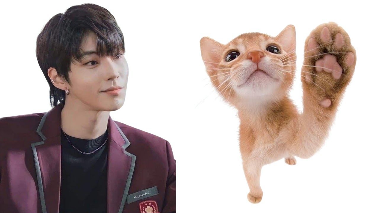 ‧₊˚ 🎒 𝗨𝗡𝗜𝗩𝗘𝗥𝗦𝗜𝗗𝗔𝗗 ☆ aprobar examen de admisi&oacute;n, universidad deseada, carrera ideal   ᶻ 𝗓 𐰁 .ᐟ