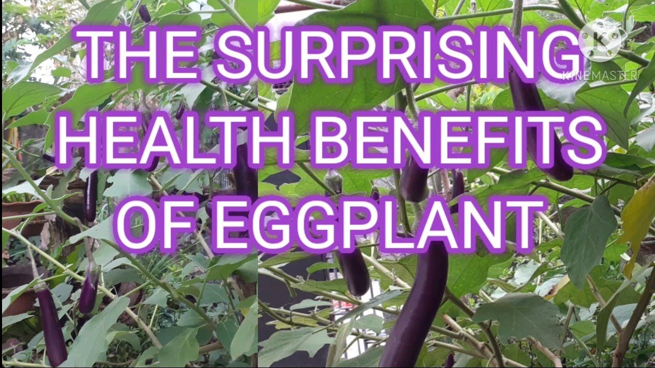 The Surprising Health Benefits of EGGPLANT