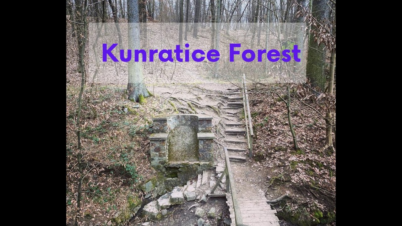 Forest walk in Kunratice | Prague, Czech Republic