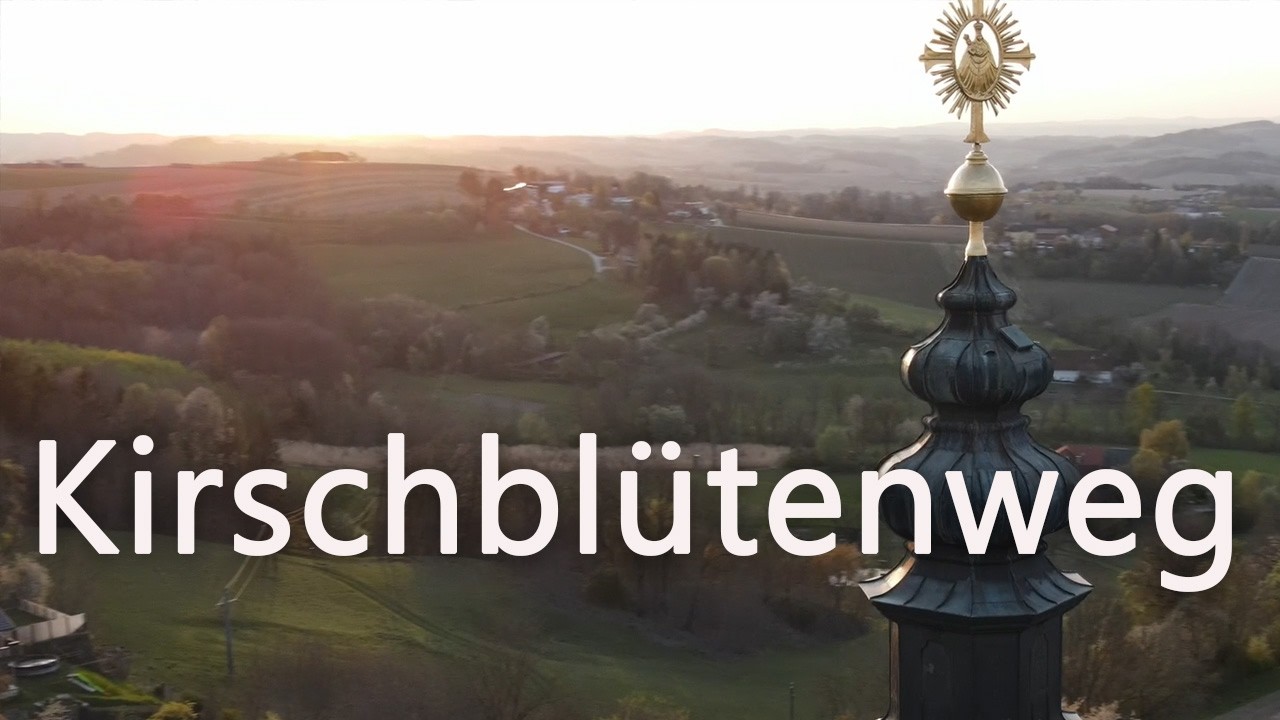Kirschblüte in die Scharten