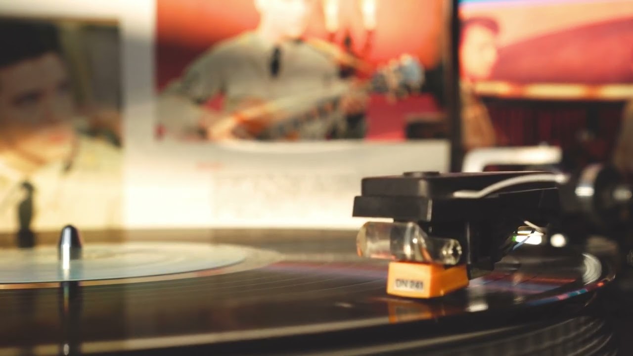 INTERNATIONAL STUDENTS SONG PLAYLIST ||NEW PLAYLIST||  #bapu #pind #internationalstudents
