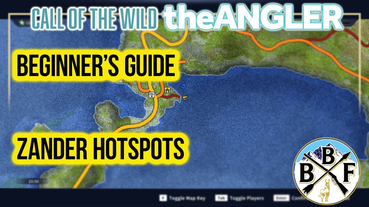 Beginner's Guide: Zander Hotspot - Plus some fishing with @Kinsko!! #callofthewildtheangler #cotw