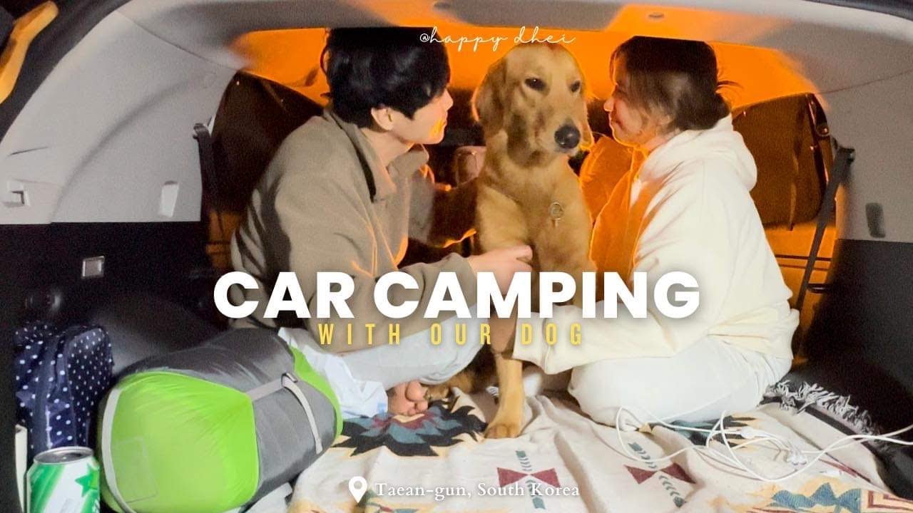 CAMPING VLOG | Car Camping with our BIG Dog 🐶 (3D2N) 대형견 차박