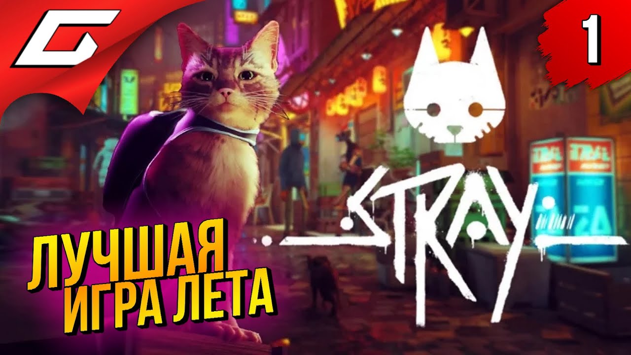 САМАЯ МИЛАЯ ИГРА ПРО КОТИКА ➤ STRAY ◉ Прохождение #1