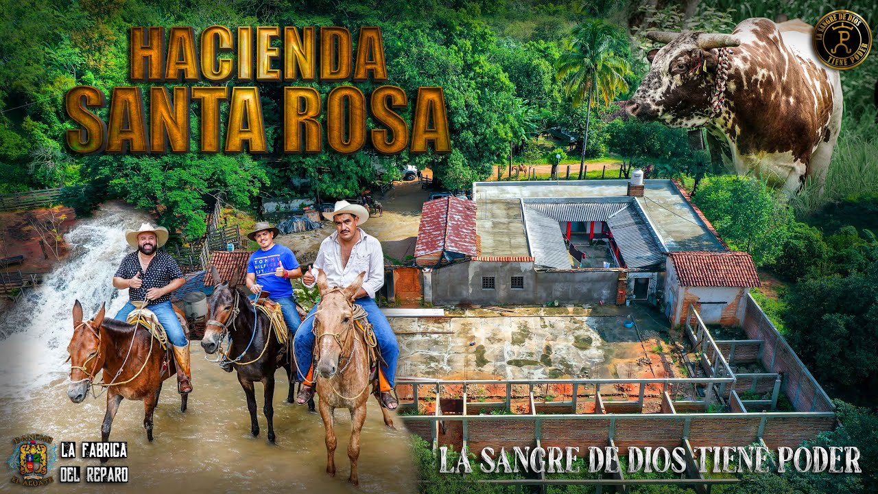 NUNCA ANTES VISITAMOS ESTE LUGAR EN LA HACIENDA SANTA ROSA | HAY UN NUEVO SEMENTAL CON LAS VACAS!!!