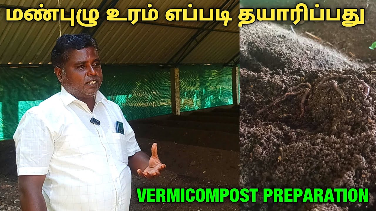 மண்புழு உரம் தயாரிக்கும் முறை | Vermicompost Preparation in tamil